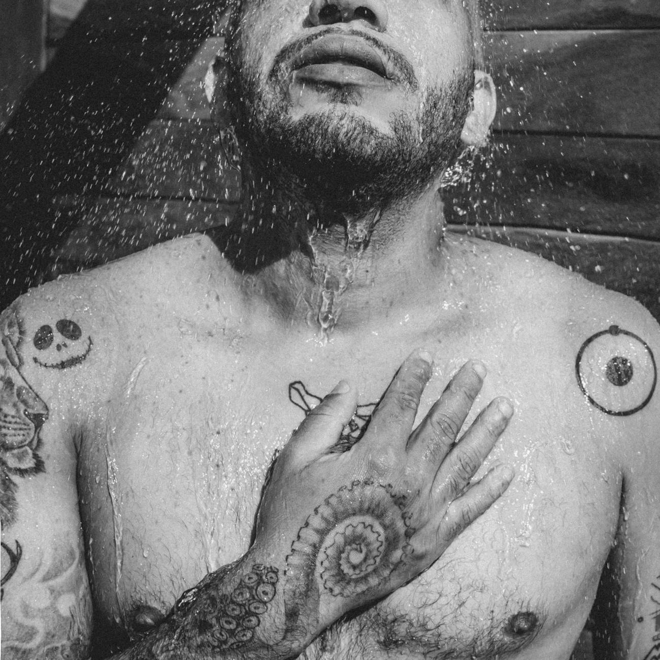 Botanik — Farn und Schmetterling